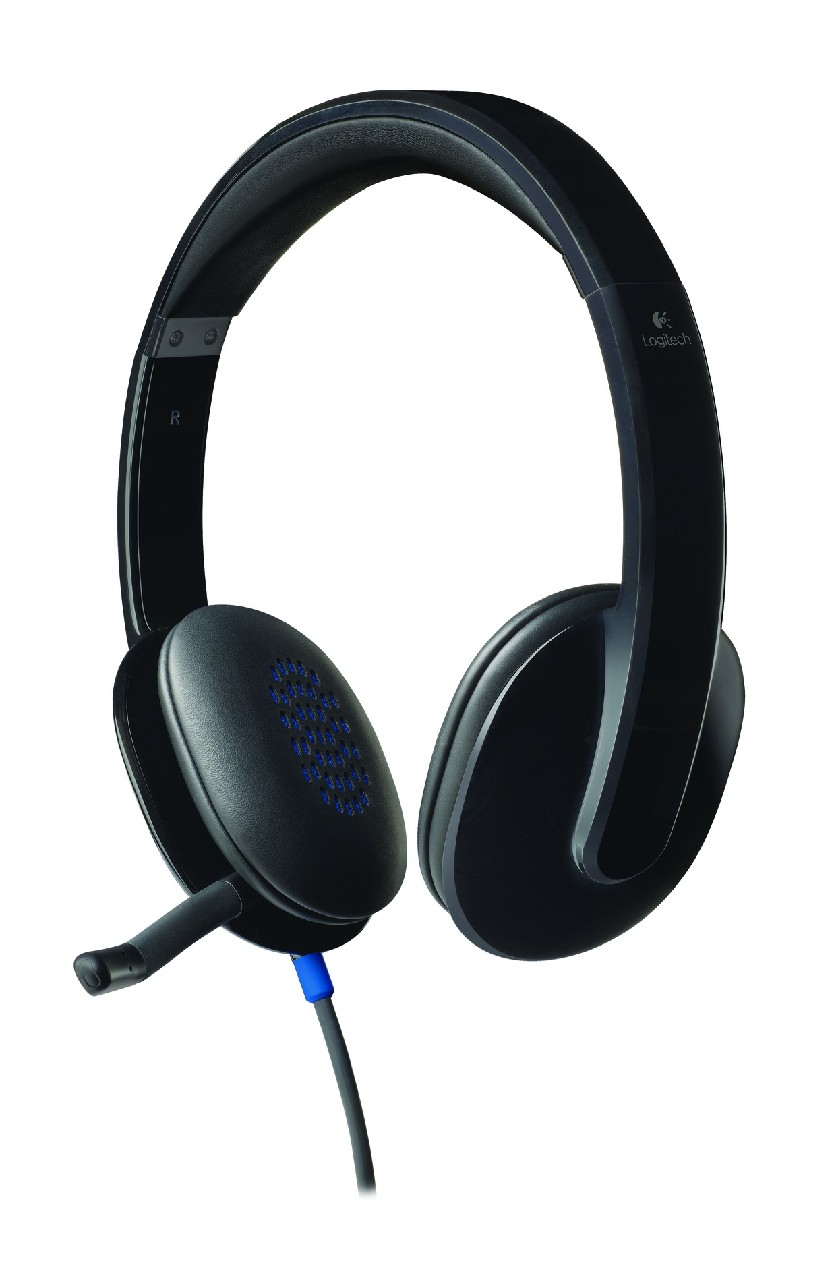 Logitech Kabel H540 Stereo schwarz